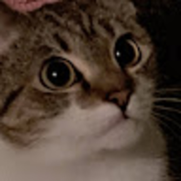 Meet your Posher, Summer - Picture 1 of 1